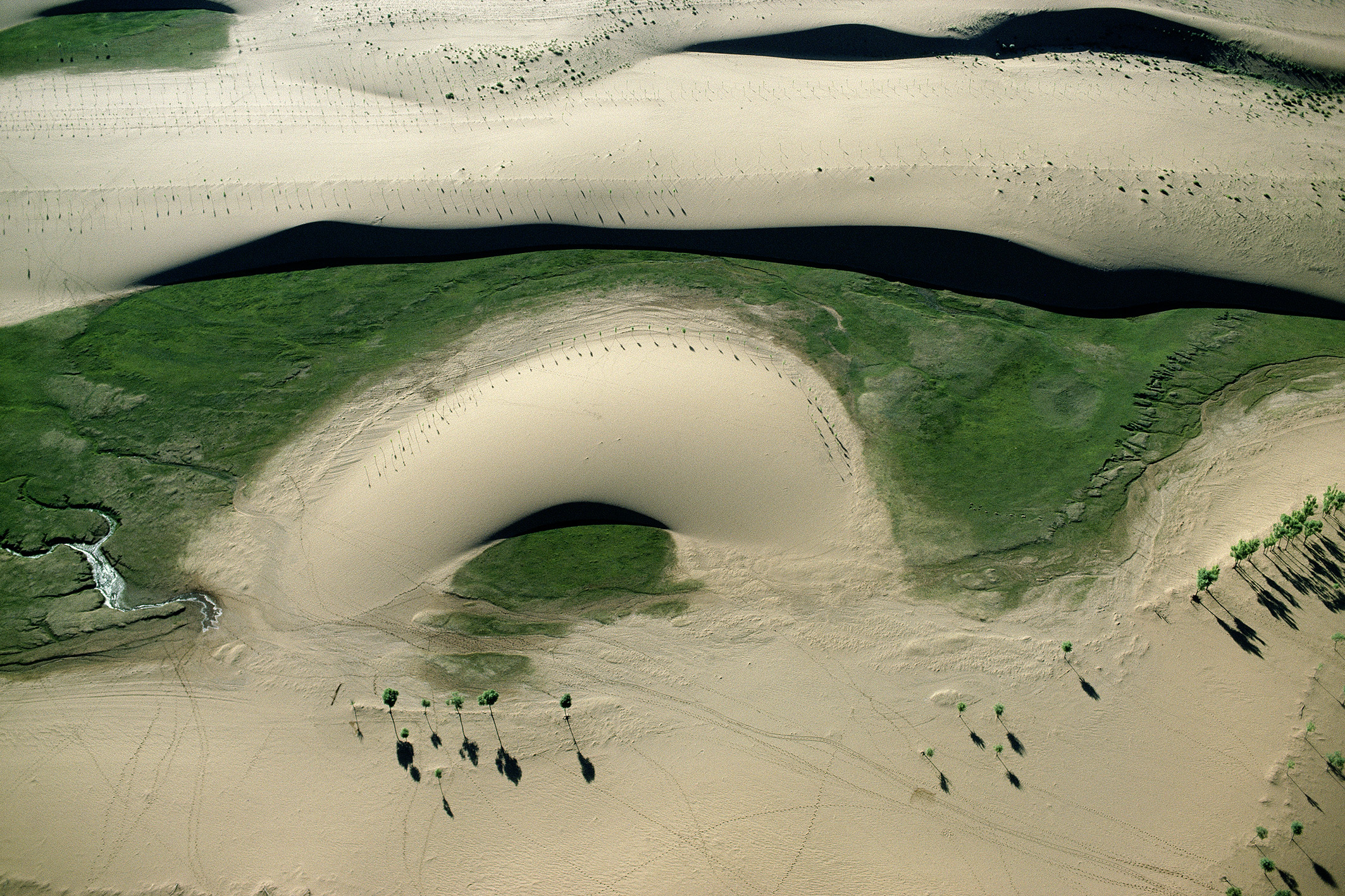 Eine Grüne Mauer gegen die Gobi Wüste, Innere Mongolei Gerster Eine Grüne Mauer gegen die Gobi Wüste, Innere Mongolei Gerster